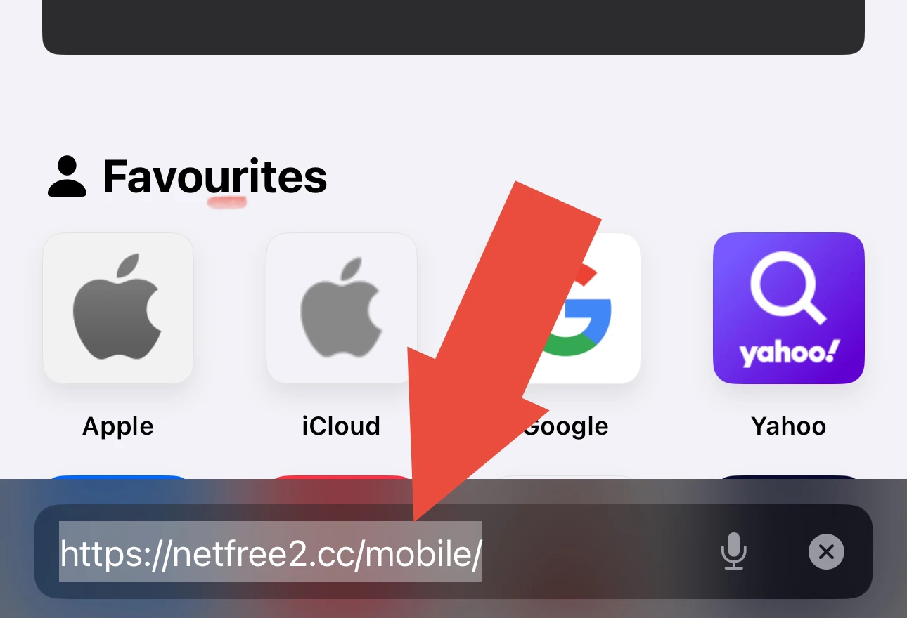 netfree2